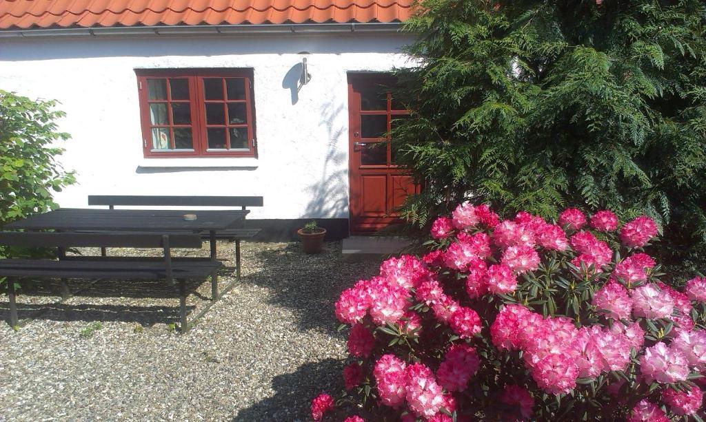 Vranum Guesthouse Viborg Dış mekan fotoğraf